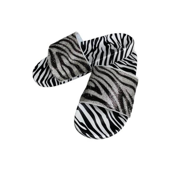 Zebra Slides - Picture 1 of 2